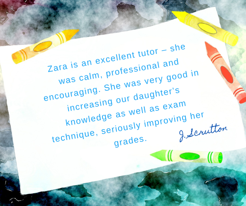 Testimonial Zara Wood Bristol Science Tutor