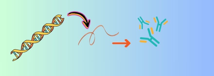 Translation featured image post